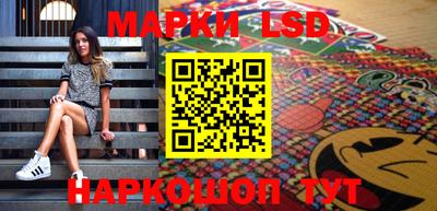 шишки Донской