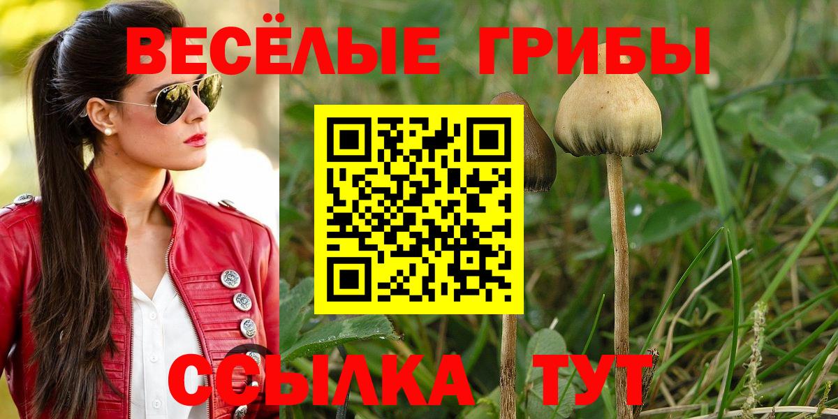 Галлюциногенные грибы Magic Shrooms Ливны