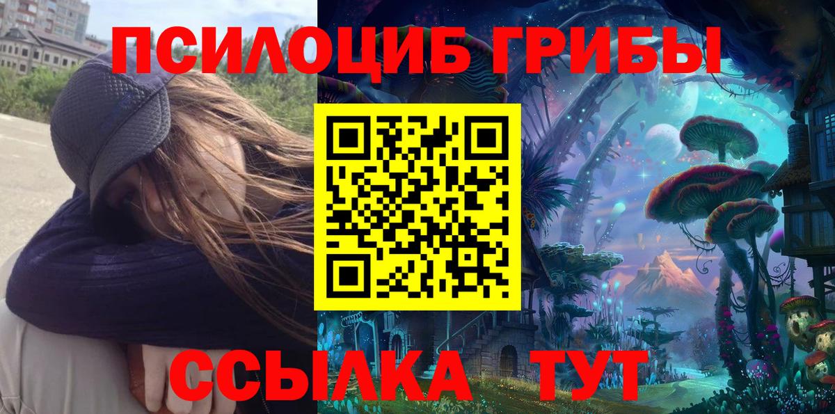 Псилоцибиновые грибы GOLDEN TEACHER  Псилоцибиновые грибы прущие грибы  купить   Ливны  Вход с VPN 